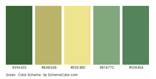 Green & Khaki - Color scheme palette thumbnail - #396435 #bab56b #ede48d #81a77c #55845a 