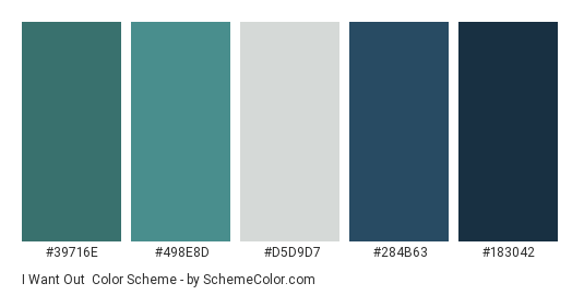 I Want Out - Color scheme palette thumbnail - #39716E #498E8D #D5D9D7 #284B63 #183042 