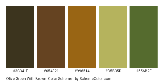 Olive Green with Brown - Color scheme palette thumbnail - #3C341E #654321 #996514 #B5B35D #556B2E 
