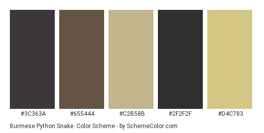 Burmese Python Snake - Color scheme palette thumbnail - #3C363A #655444 #C2B58B #2F2F2F #D4C783 