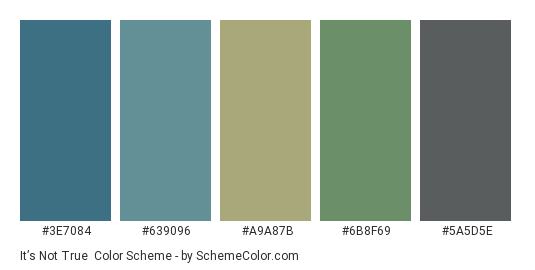 It’s Not True - Color scheme palette thumbnail - #3e7084 #639096 #a9a87b #6b8f69 #5a5d5e 