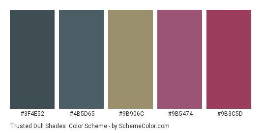 Trusted Dull Shades - Color scheme palette thumbnail - #3f4e52 #4b5d65 #9b906c #9b5474 #9b3c5d 