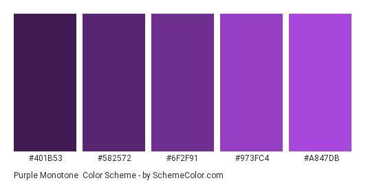 Purple Monotone - Color scheme palette thumbnail - #401B53 #582572 #6F2F91 #973FC4 #A847DB 
