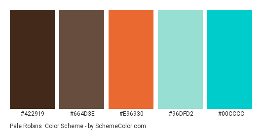 Pale Robins - Color scheme palette thumbnail - #422919 #664d3e #e96930 #96dfd2 #00cccc 