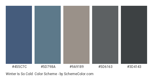 Winter is So Cold - Color scheme palette thumbnail - #455C7C #5D798A #9A9189 #5D6163 #3D4143 