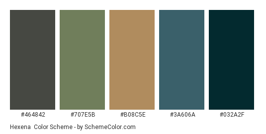 Hexena - Color scheme palette thumbnail - #464842 #707e5b #b08c5e #3a606a #032a2f 