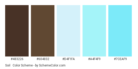 Soil & Water - Color scheme palette thumbnail - #483226 #604832 #d4f1fa #a4f4f9 #7ceaf9 
