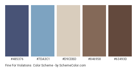 Fine for Violations - Color scheme palette thumbnail - #485376 #7DA3C1 #D9CDBD #846958 #63493D 