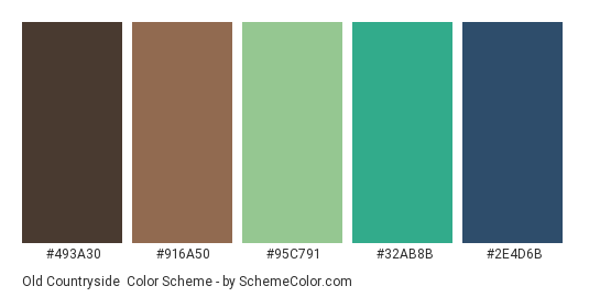 Old Countryside - Color scheme palette thumbnail - #493A30 #916A50 #95C791 #32AB8B #2E4D6B 