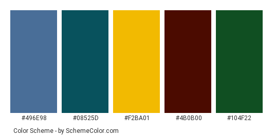 Wildflower Daisy - Color scheme palette thumbnail - #496e98 #08525d #f2ba01 #4b0b00 #104f22 