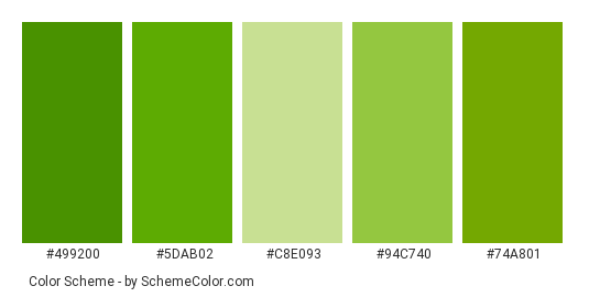 Limes Fruit - Color scheme palette thumbnail - #499200 #5dab02 #c8e093 #94c740 #74a801 
