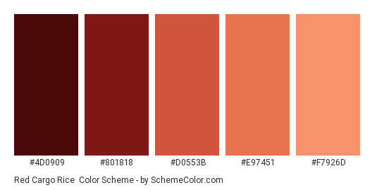 Red Cargo Rice - Color scheme palette thumbnail - #4D0909 #801818 #D0553B #E97451 #F7926D 