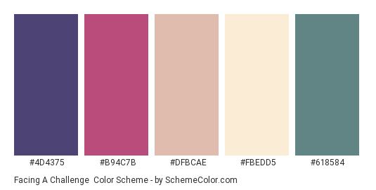 Facing a Challenge - Color scheme palette thumbnail - #4D4375 #B94C7B #DFBCAE #FBEDD5 #618584 