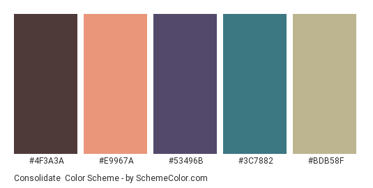 Consolidate - Color scheme palette thumbnail - #4F3A3A #E9967A #53496B #3C7882 #BDB58F 