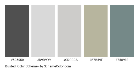 Busted - Color scheme palette thumbnail - #505050 #D9D9D9 #CDCCCA #B7B59E #758988 