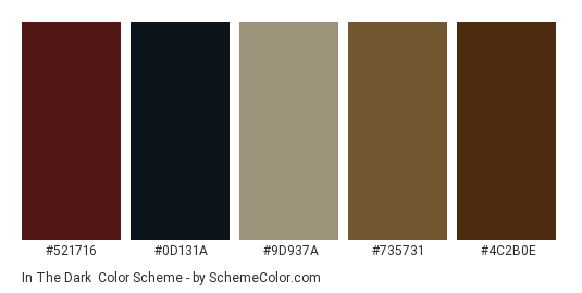 In the Dark - Color scheme palette thumbnail - #521716 #0d131a #9d937a #735731 #4c2b0e 