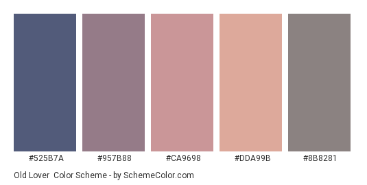 Old Lover - Color scheme palette thumbnail - #525b7a #957b88 #ca9698 #dda99b #8b8281 