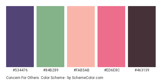 Concern for Others - Color scheme palette thumbnail - #534476 #84B289 #FAB5AB #ED6E8C #463139 