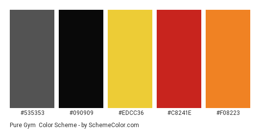 Pure Gym - Color scheme palette thumbnail - #535353 #090909 #edcc36 #c8241e #f08223 