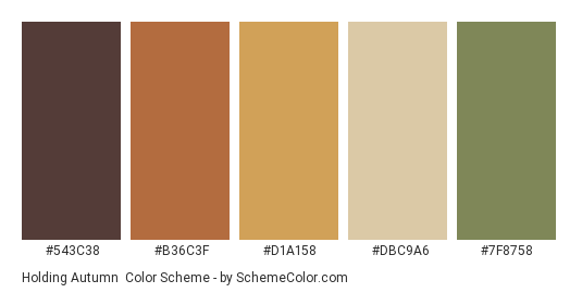 Holding Autumn - Color scheme palette thumbnail - #543C38 #B36C3F #D1A158 #DBC9A6 #7F8758 
