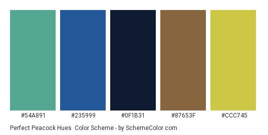 Perfect Peacock Hues - Color scheme palette thumbnail - #54a891 #235999 #0f1b31 #87653f #ccc745 