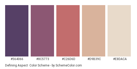 Defining Aspect - Color scheme palette thumbnail - #564066 #8C5773 #C26D6D #D9B39C #E8DACA 