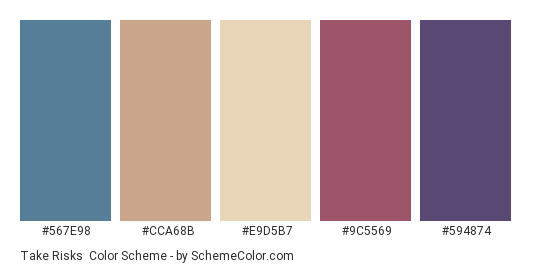 Take Risks - Color scheme palette thumbnail - #567e98 #cca68b #e9d5b7 #9c5569 #594874 