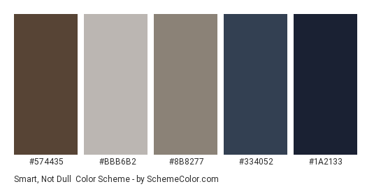 Smart, Not Dull - Color scheme palette thumbnail - #574435 #bbb6b2 #8b8277 #334052 #1a2133 