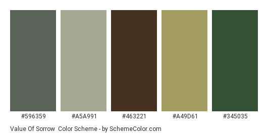 Value of Sorrow - Color scheme palette thumbnail - #596359 #a5a991 #463221 #a49d61 #345035 