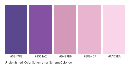 Unblemished - Color scheme palette thumbnail - #5B478E #8551A2 #D499B9 #E8B4CF #FAD5EA 