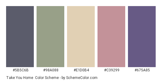 Take You Home - Color scheme palette thumbnail - #5B5C6B #98A088 #E1D0B4 #C39299 #675A85 
