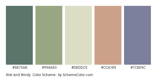 Wet and Windy - Color scheme palette thumbnail - #5B756B #99A683 #DBDDC5 #CCA189 #7C809C 