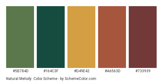 Natural Melody - Color scheme palette thumbnail - #5B784D #164C3F #D49E42 #A6563D #733939 