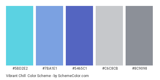 Vibrant Chill - Color scheme palette thumbnail - #5BD2E2 #7BA1E1 #5465C1 #C6C8CB #8C9098 