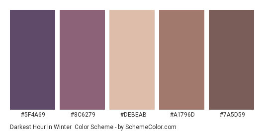 Darkest Hour in Winter - Color scheme palette thumbnail - #5F4A69 #8C6279 #DEBEAB #A1796D #7A5D59 