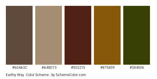 Earthy Way - Color scheme palette thumbnail - #604a3c #a48d73 #502215 #875809 #384006 