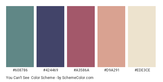 You Can’t See - Color scheme palette thumbnail - #608786 #424469 #A3586A #D9A291 #EDE3CE 