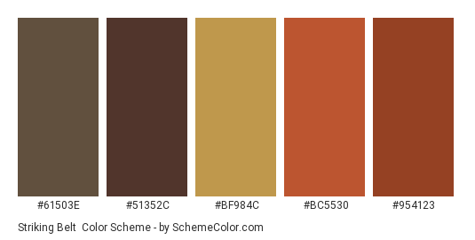Striking Belt - Color scheme palette thumbnail - #61503e #51352c #bf984c #bc5530 #954123 