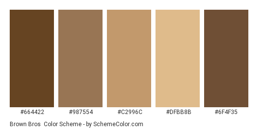 Brown Bros - Color scheme palette thumbnail - #664422 #987554 #c2996c #dfbb8b #6f4f35 