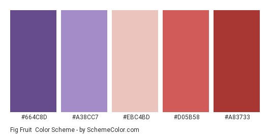 Fig Fruit - Color scheme palette thumbnail - #664C8D #A38CC7 #EBC4BD #D05B58 #A83733 
