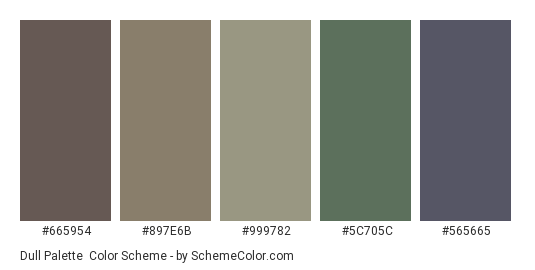 Dull Palette - Color scheme palette thumbnail - #665954 #897E6B #999782 #5C705C #565665 
