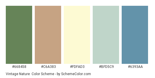 Vintage Nature - Color scheme palette thumbnail - #668458 #C6A383 #FDFAD3 #BFD5C9 #6393AA 
