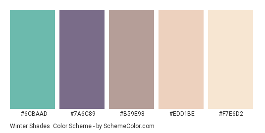 Winter Shades - Color scheme palette thumbnail - #6CBAAD #7A6C89 #B59E98 #EDD1BE #F7E6D2 