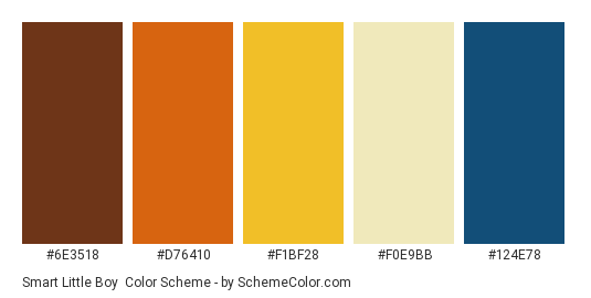 Smart Little Boy - Color scheme palette thumbnail - #6E3518 #D76410 #F1BF28 #F0E9BB #124E78 