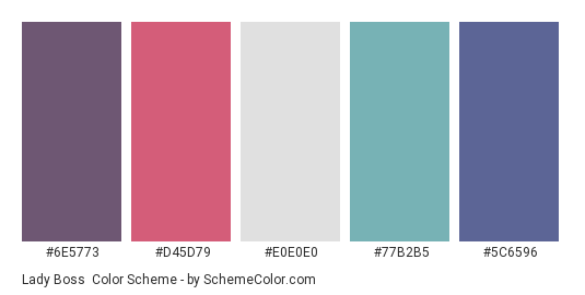 Lady Boss - Color scheme palette thumbnail - #6E5773 #D45D79 #E0E0E0 #77B2B5 #5C6596 