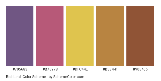 Richland - Color scheme palette thumbnail - #705683 #b75978 #dfc44e #b88441 #905436 
