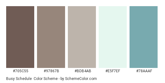 Busy Schedule - Color scheme palette thumbnail - #705C55 #97867B #BDB4AB #E5F7EF #78AAAF 