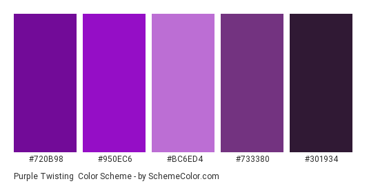 Purple Twisting - Color scheme palette thumbnail - #720B98 #950EC6 #BC6ED4 #733380 #301934 