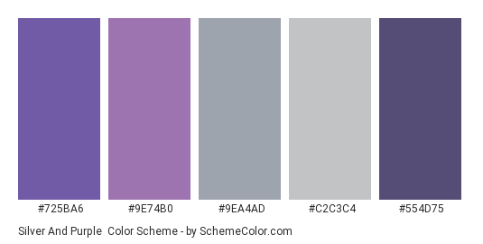 Silver and Purple - Color scheme palette thumbnail - #725BA6 #9E74B0 #9EA4AD #C2C3C4 #554D75 