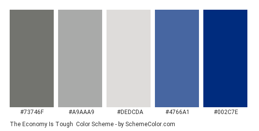 The Economy is Tough - Color scheme palette thumbnail - #73746f #a9aaa9 #dedcda #4766a1 #002c7e 